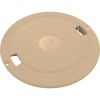 SPX1070C10 Lid Hayward SP1070 Skimmer 9-7/8