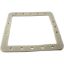 513331 Gasket Pentair HydroSkim Skimmer Faceplate