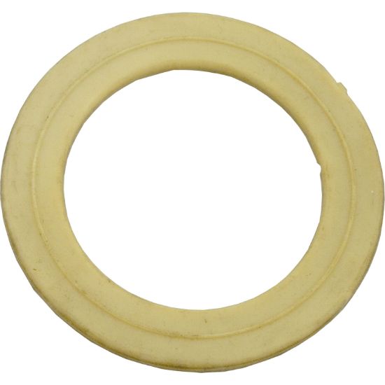 461130 Gasket Pentair 3-1/2