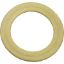 461130 Gasket Pentair 3-1/2