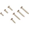 SCR014 Screw Triodyne Main Drain Anti Hair Snare Quantity 14