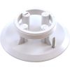 25527-100-100 Inlet Cover Plate Sta-Rite White 2" mpt Generic