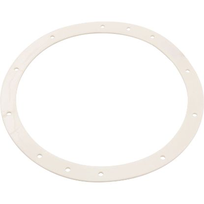 SG400 Gasket 10 Hole Light Niche10-1/2