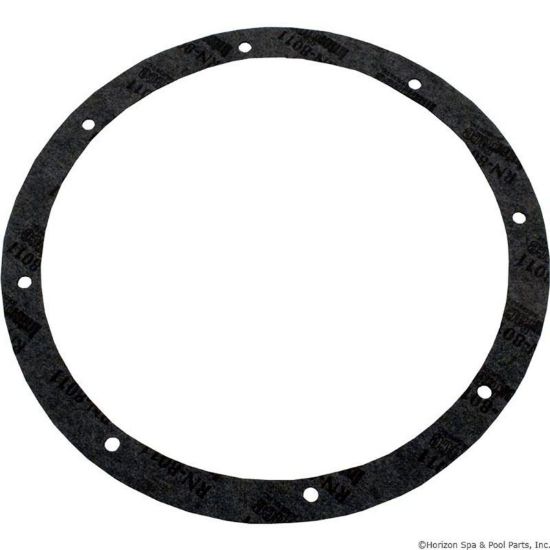 79200300 Light Niche Gasket Kit Pentair Amerlite 8-Hole Vinyl