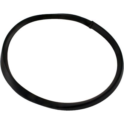 R36046 Gasket Pentair Vac-Mate Basket 7-3/4