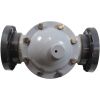 V2-06 Backwash Valve Paragon Stark 2-Way 6" w/ Flanges
