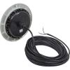64-EGLCW-80 PAL EvenGlow Lrg Niche LtCool White12v ac/dc80ft SS Esc