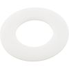 272402 Washer Pentair PacFab 2