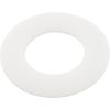272402 Washer Pentair PacFab 2