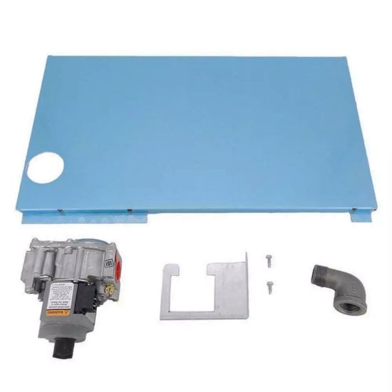 460762 Kit Gas Vlv Tsi
