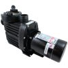 IG123-1075F-000 Pump Speck S90-II 0.75hp208-230/460v1-Spd3 Phase Full