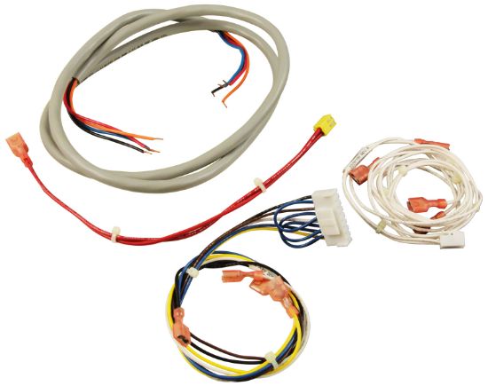 R3009000 Jandy Pro Series Wire Harness Kit