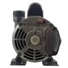 3J10070-1E Hot Tub Pump Circulation WaterWay Iron Might 1/15 HP 230 V 48fr, 50/60HzOEM